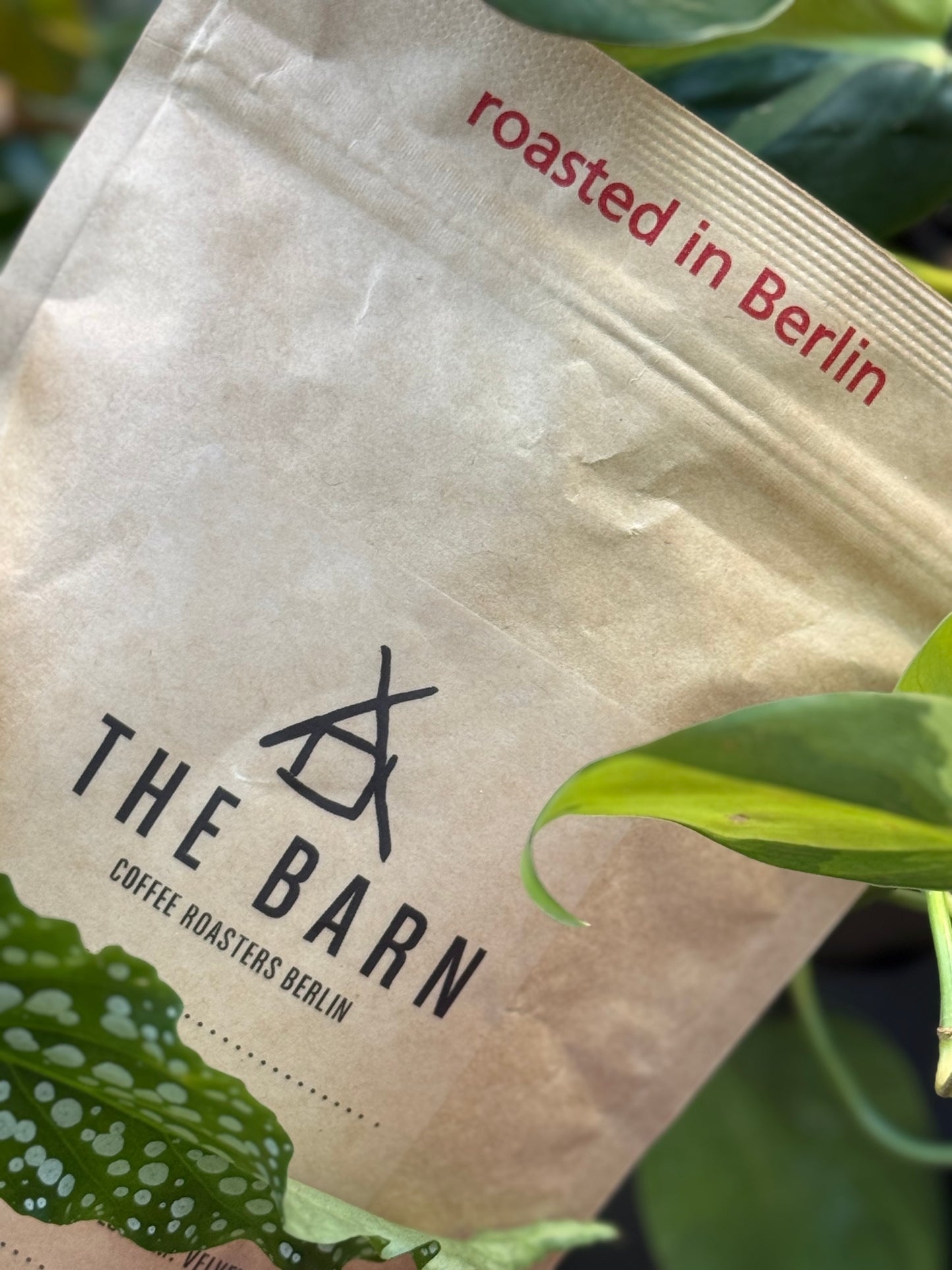 25/01 #04 - Volcan Azul - The Barn (Berlin)