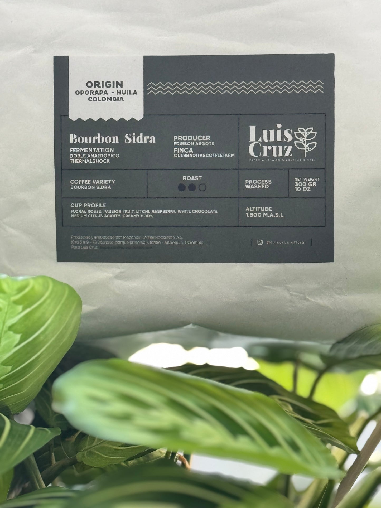 25/01 #05 - Edinson Argote - Luis Cruz (Jardín, Colombia)