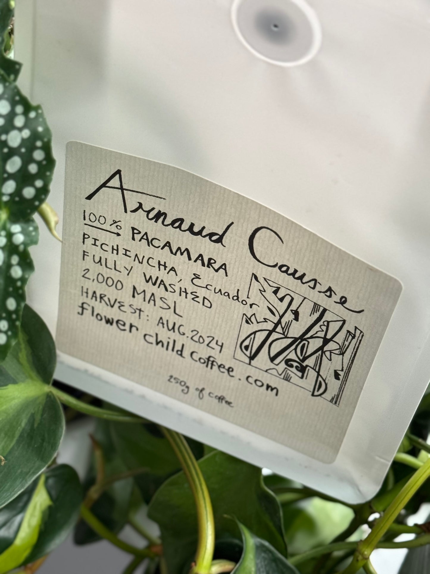 25/02 #1 - Arnaud Causse - Flower Child (Oakland, CA)