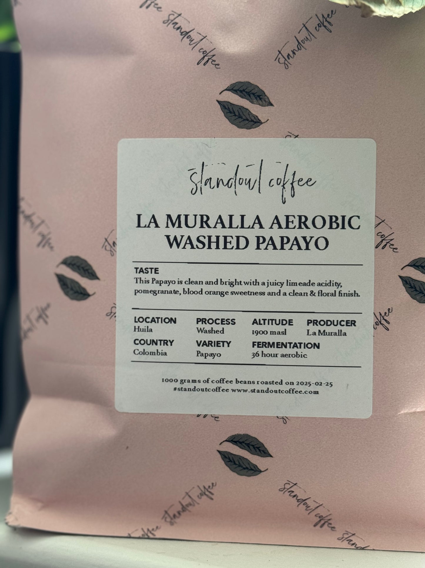 25/03 #2 - La Muralla Collective - Standout (Stockholm, Sweden)
