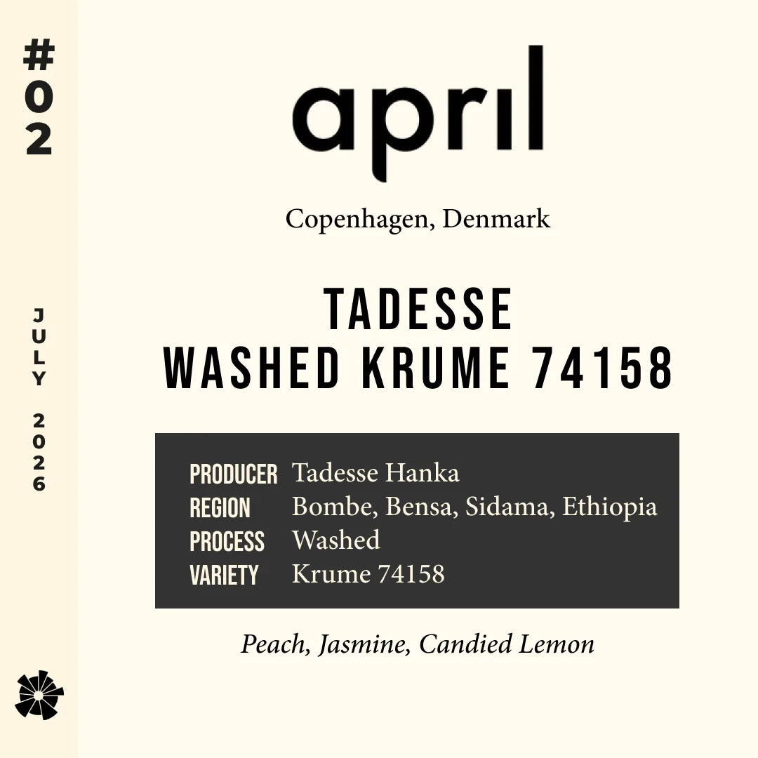 #02 april (Copenhagen) — Tadesse Washed Krume 74158