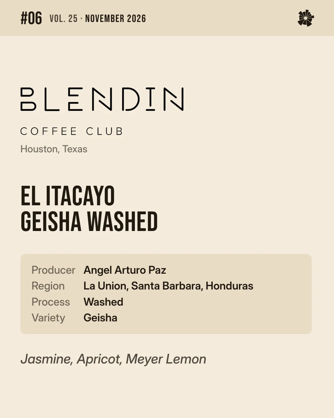 #06 BlendIn Coffee Club (Houston, TX) — El Itacayo Geisha Washed