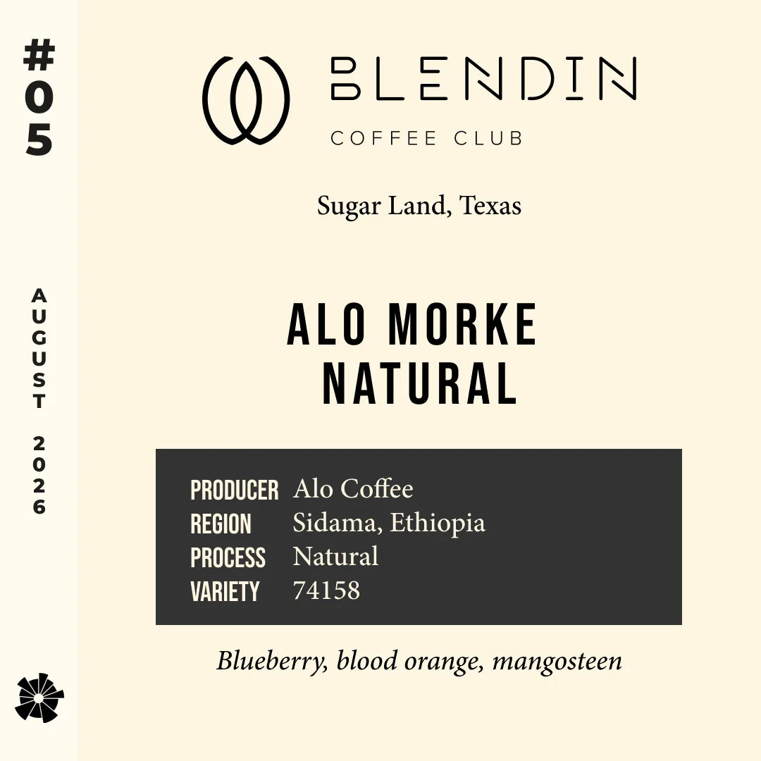 #05 BlendIn Coffee Club (Sugar Land, TX) — Alo Morke Natural