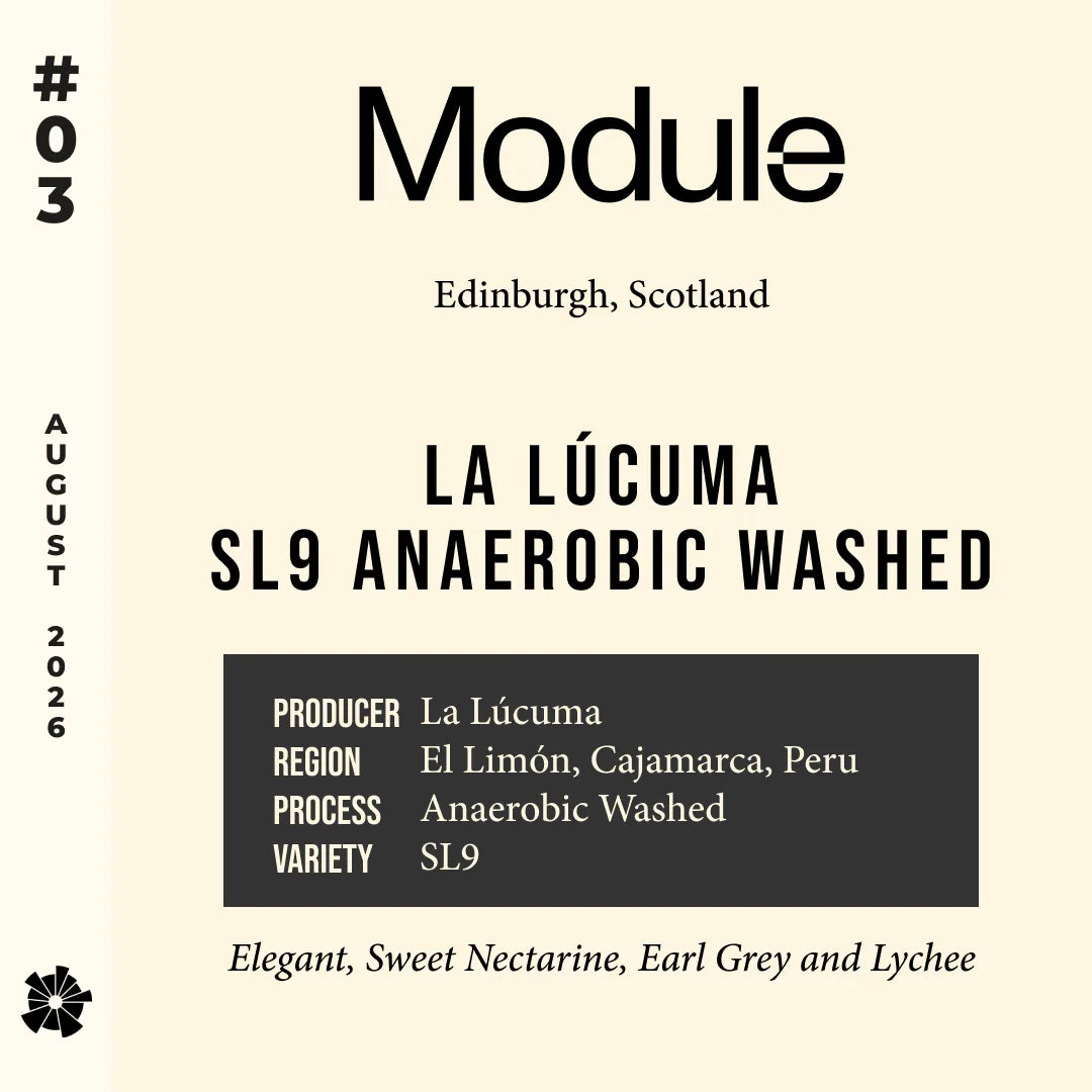 #03 Module (Edinburgh) — La Lúcuma SL9 Anaerobic Washed