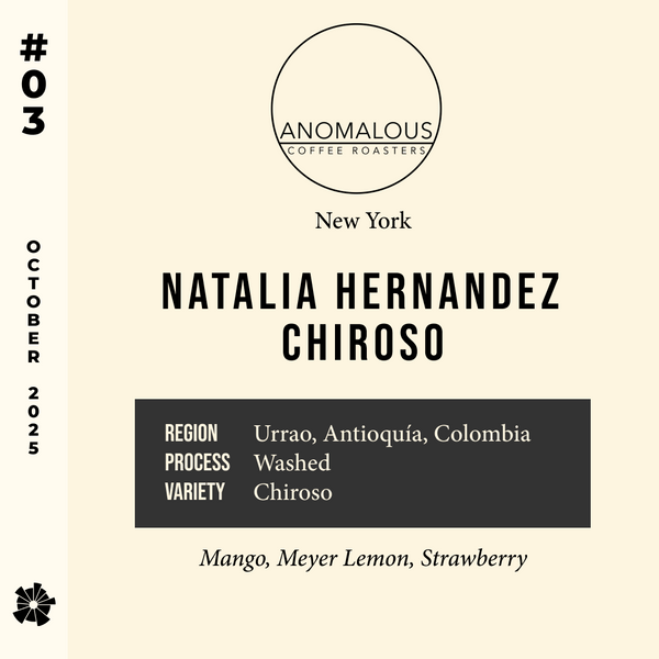 25/10 #03 Natalia Hernandez Chiroso - Anomalous