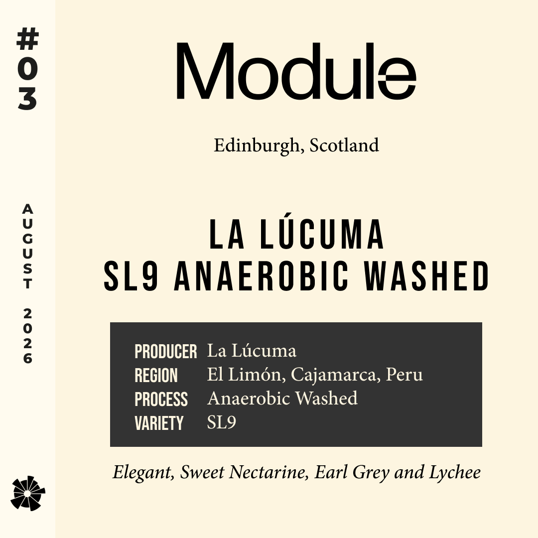 26/08 #03 La Lúcuma SL9 Anaerobic Washed - Module