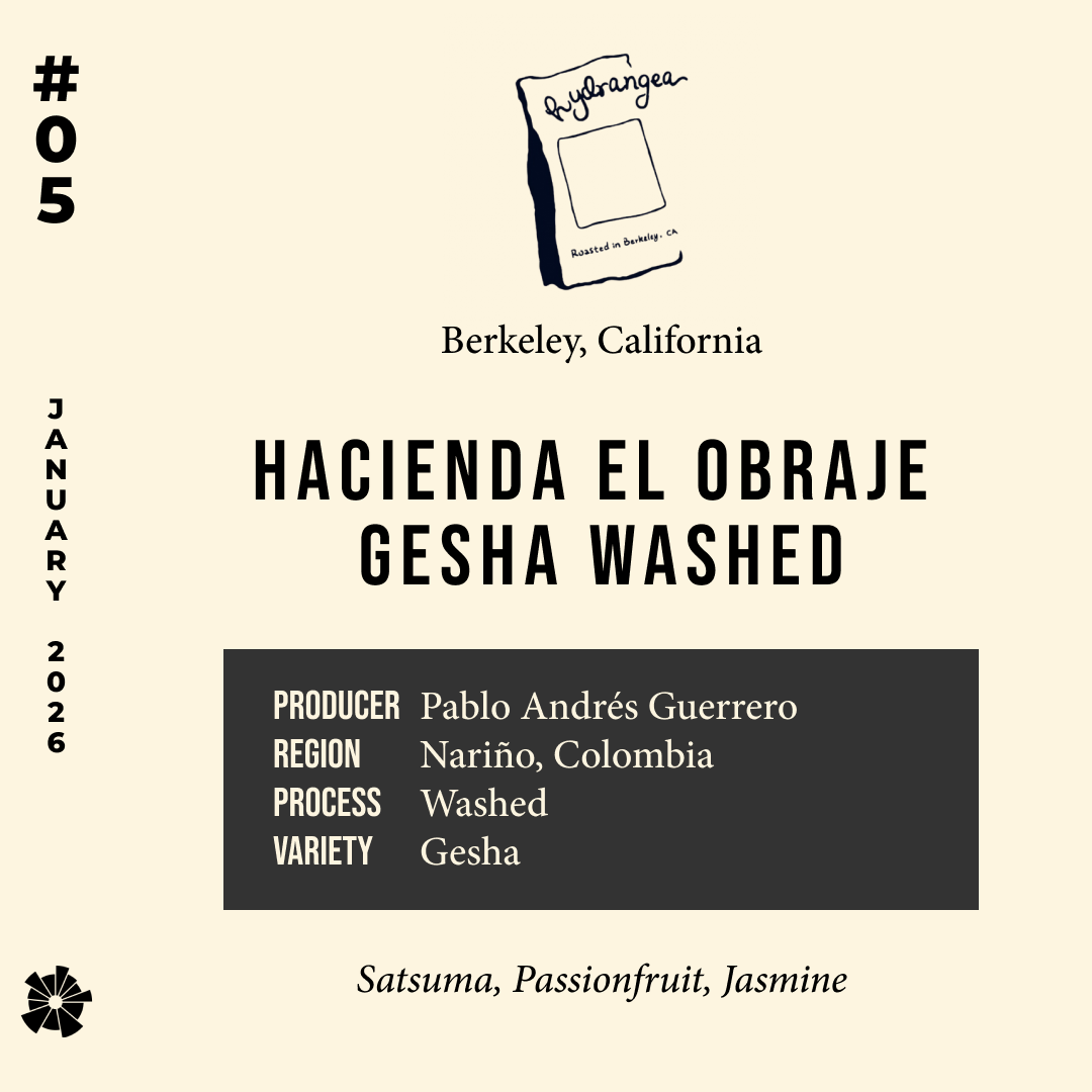 26/01 #05 Gesha Washed Hacienda El Obraje - Hydrangea