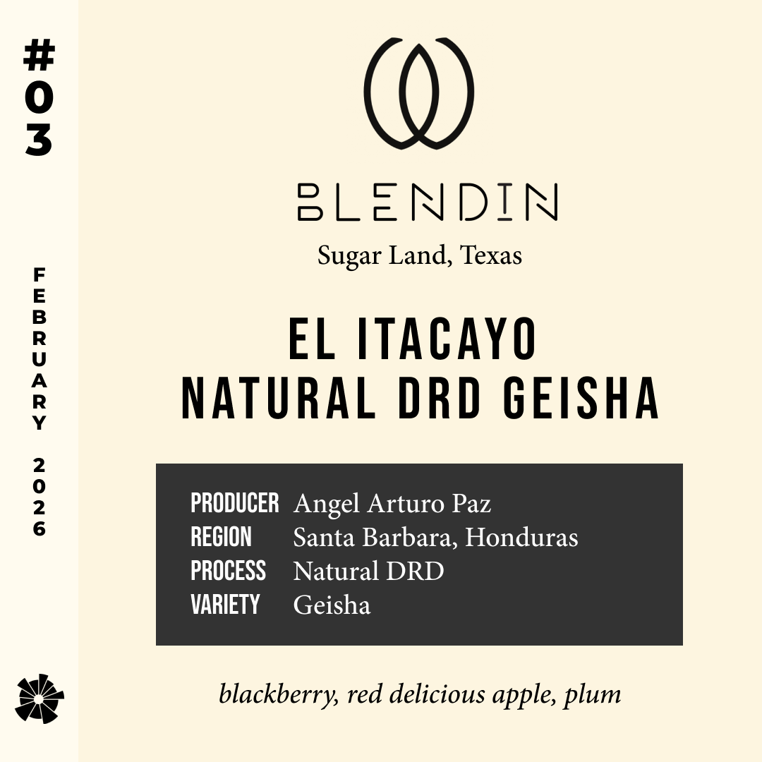 26/02 #03 El Itacayo Natural DRD Geisha	- Blendin