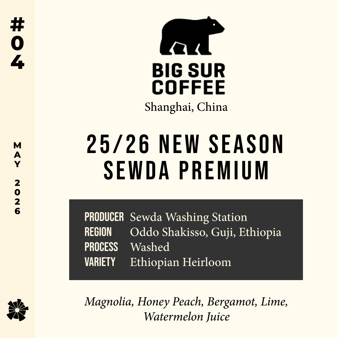 26/05 #04 25/26 New Season Sewda Premium - Big Sur Coffee