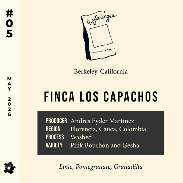 26/05 #05 Finca Los Capachos - Hydrangea