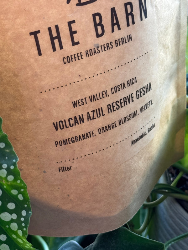 25/01 #04 - Volcan Azul - The Barn (Berlin)