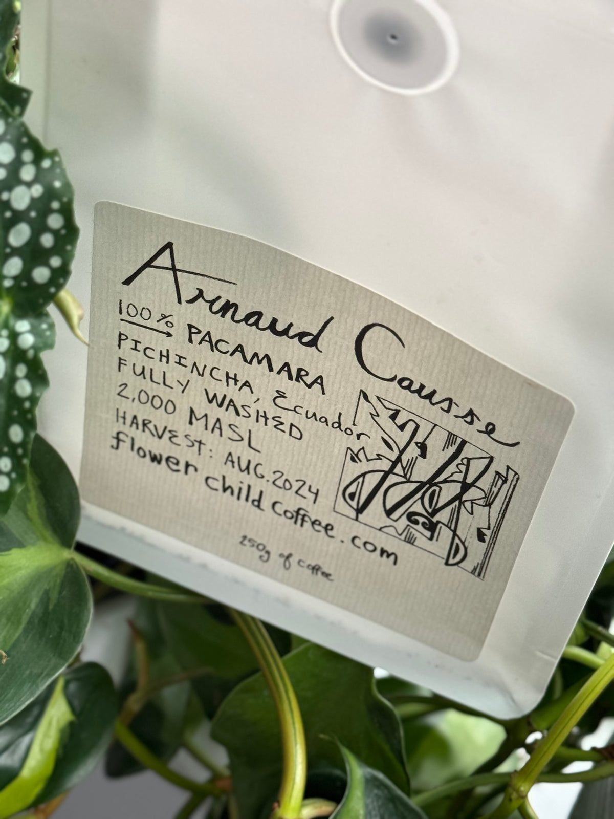25/02 #1 - Arnaud Causse - Flower Child (Oakland, CA)