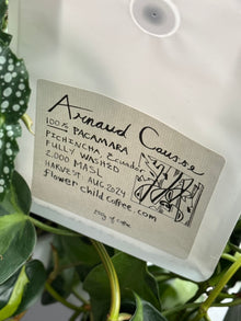 25/02 #1 - Arnaud Causse - Flower Child (Oakland, CA)