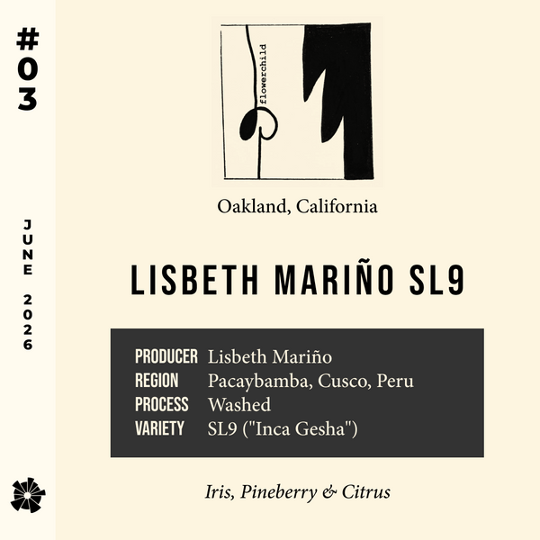 26/06 #03 Lisbeth Mariño SL9 - Flower Child