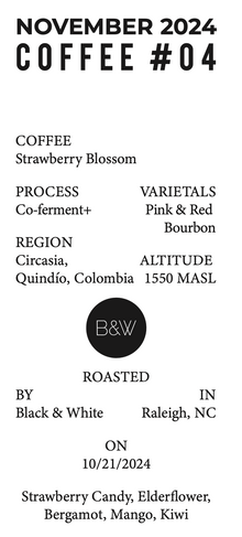24/11 #04 - Strawberry Blossom - Black & White (Raleigh, NC)