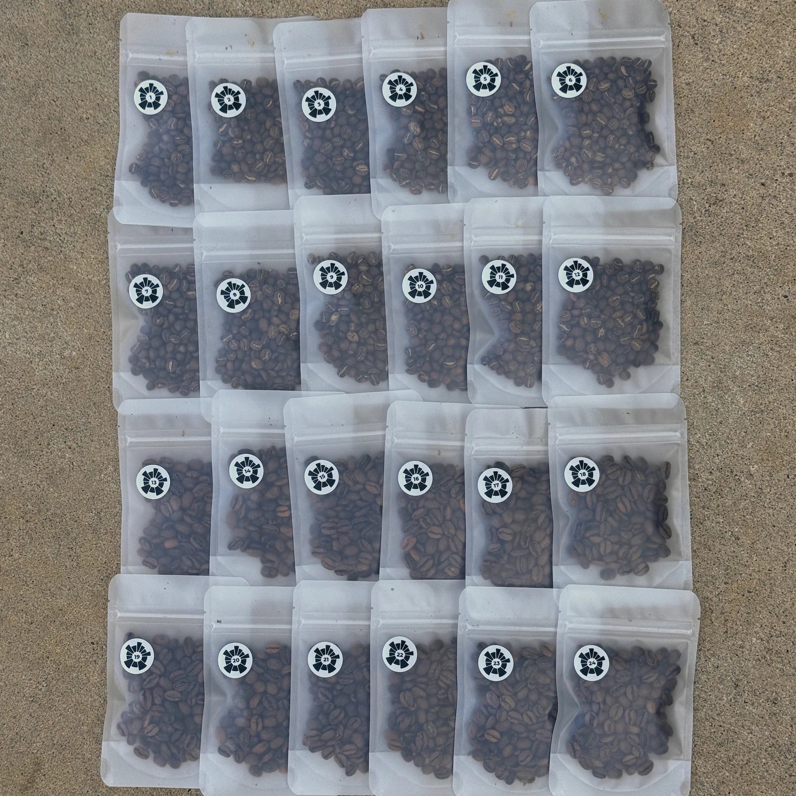 The Advent Archive — numbered bags laid out in a grid
