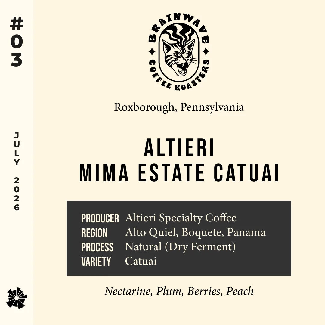 #03 Brainwave (Roxborough, PA) — Altieri Mima Estate Catuai
