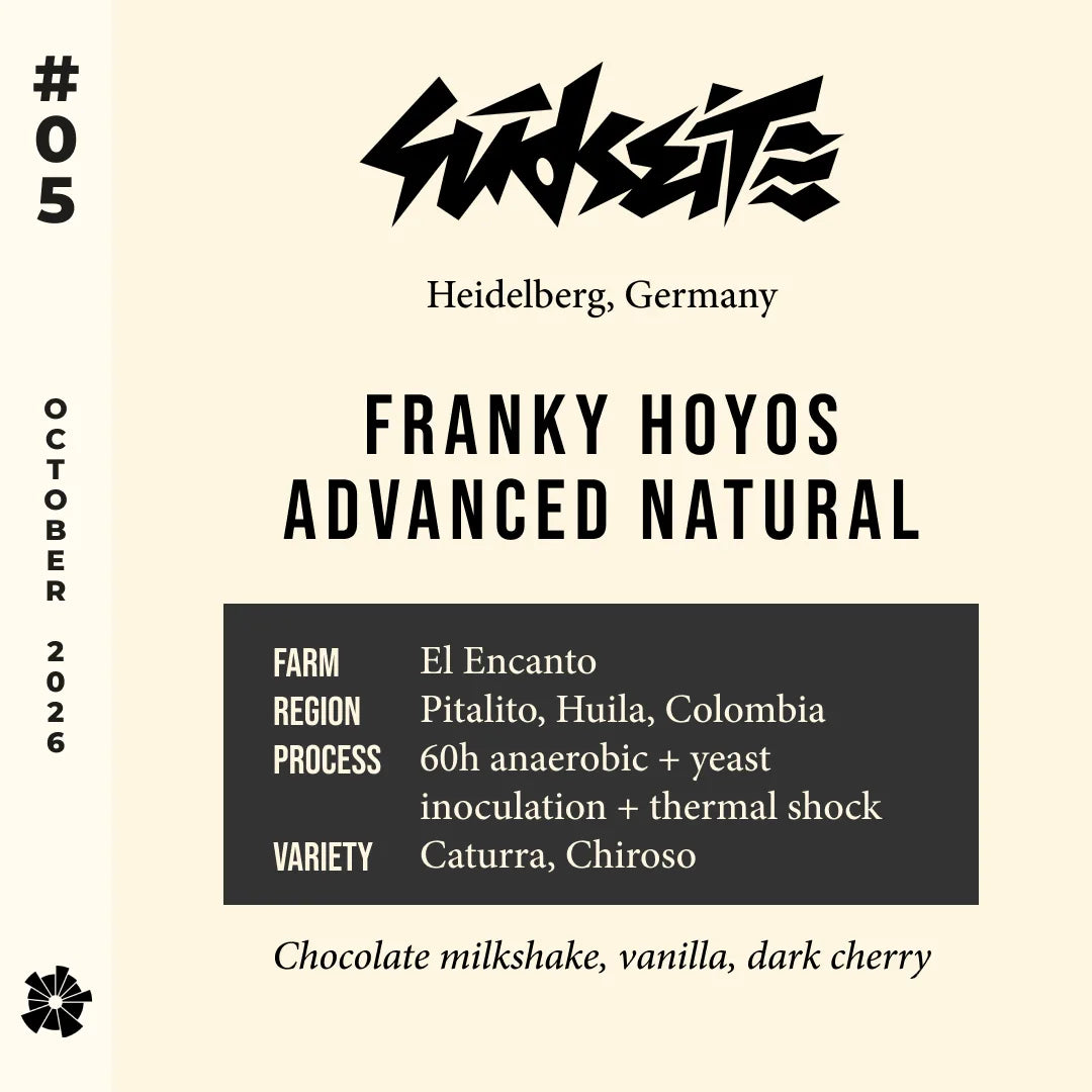 #05 Südseite (Heidelberg, Germany) — Franky Hoyos Advanced Natural